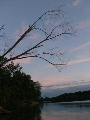 HPIM0566.jpg
