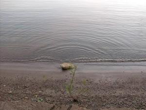 HPIM0569.jpg