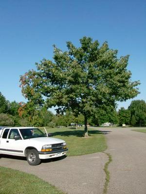 HPIM0591.jpg